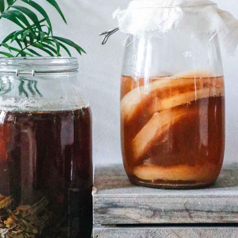 Kombucha – ricetta con miele e yerba mate